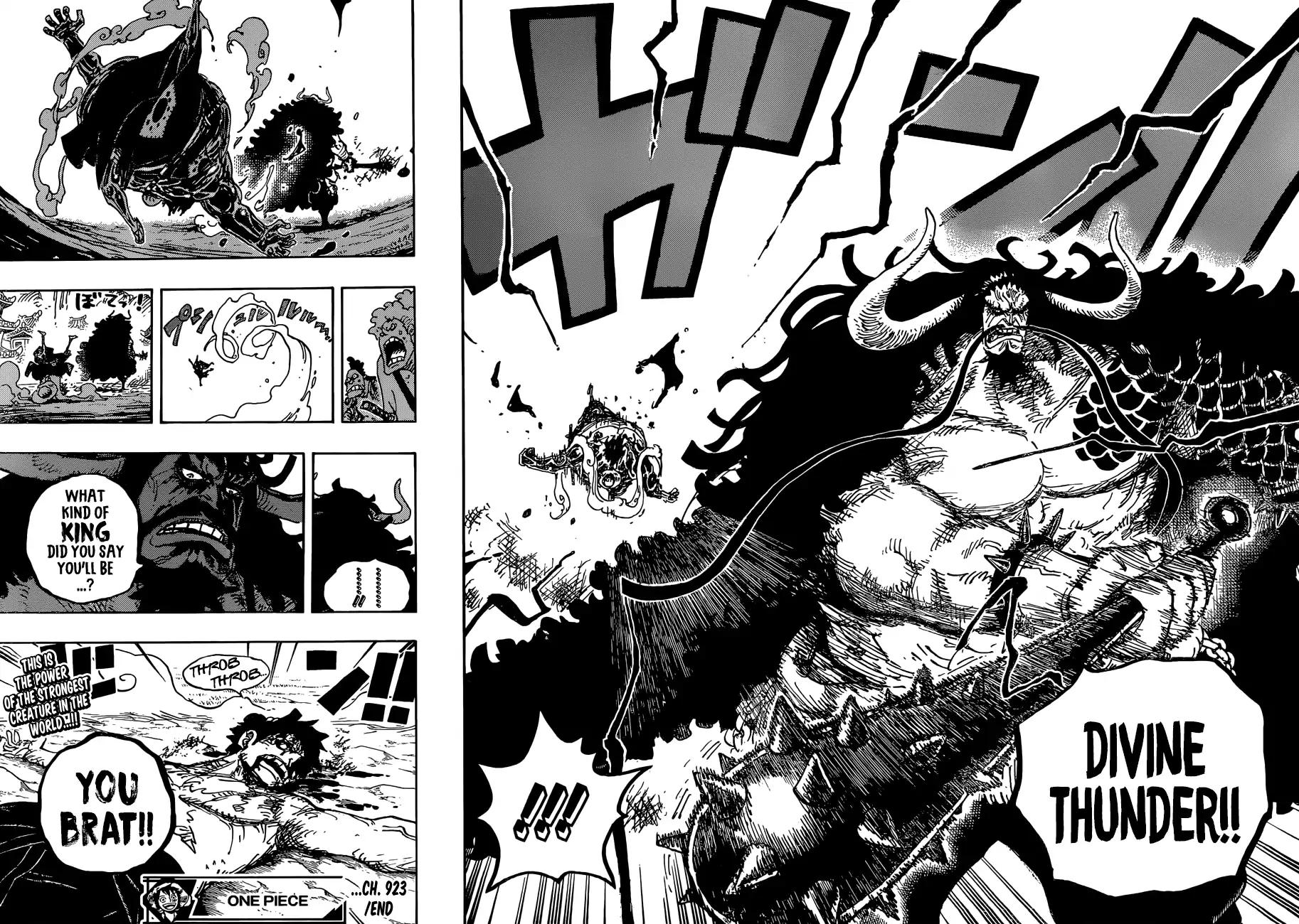 One Piece, chapter 923 image 14