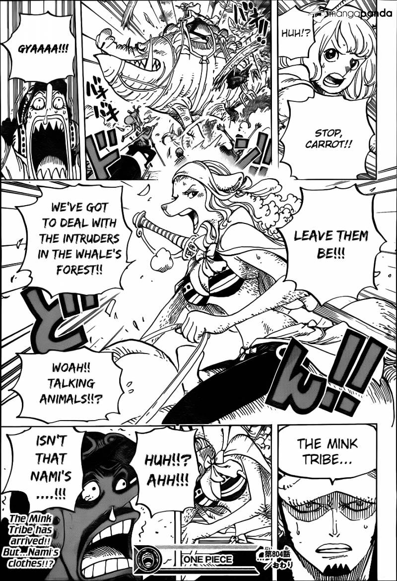 One Piece, chapter 804 image 16