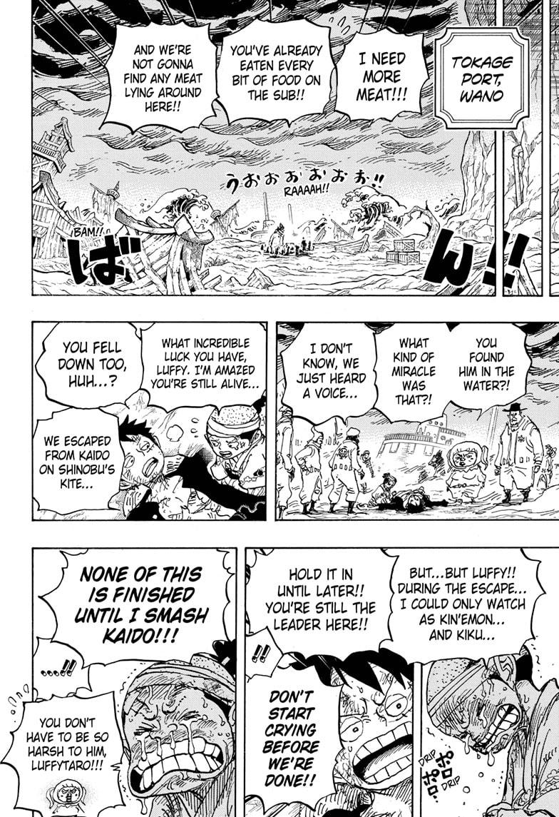 One Piece, chapter 1020 image 16
