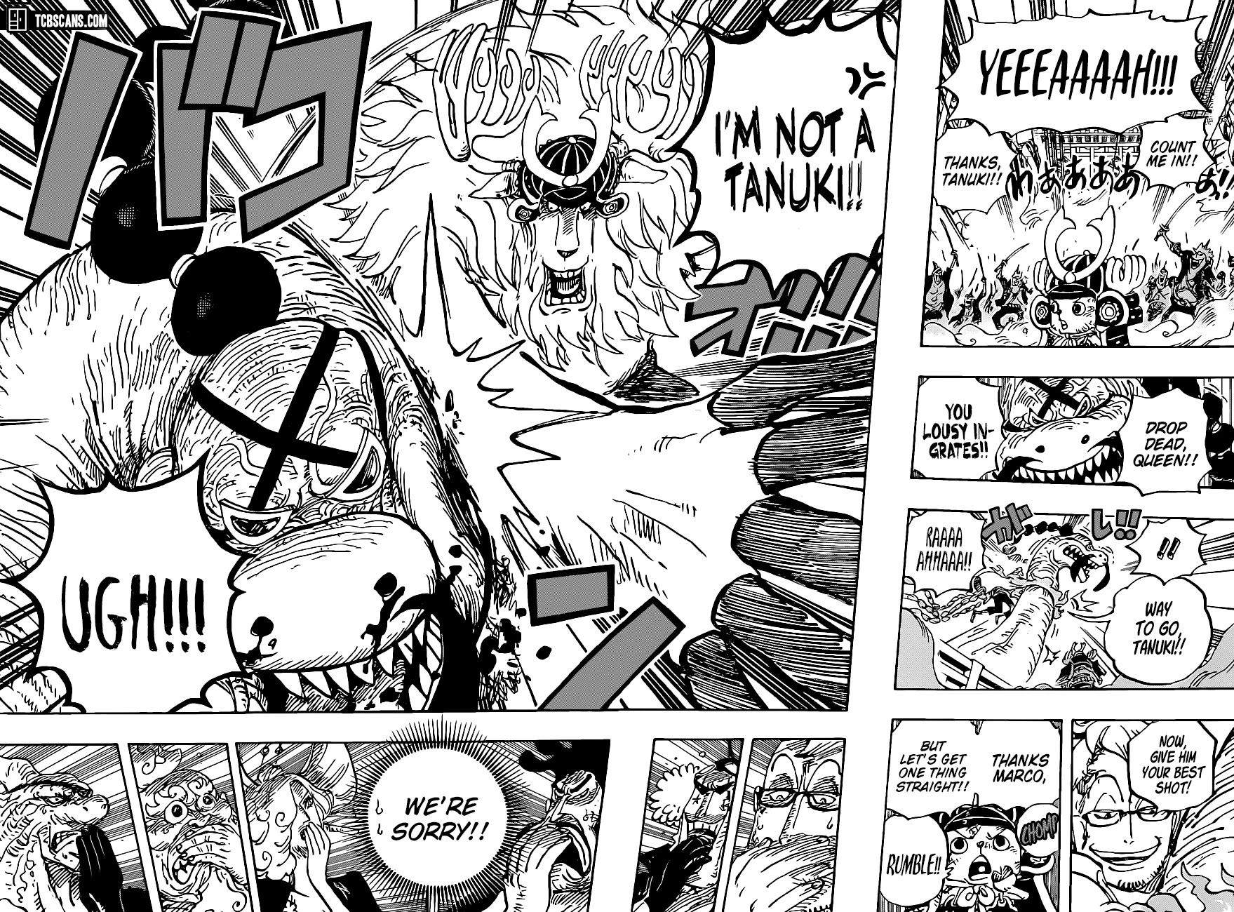 One Piece, chapter 1007 image 13