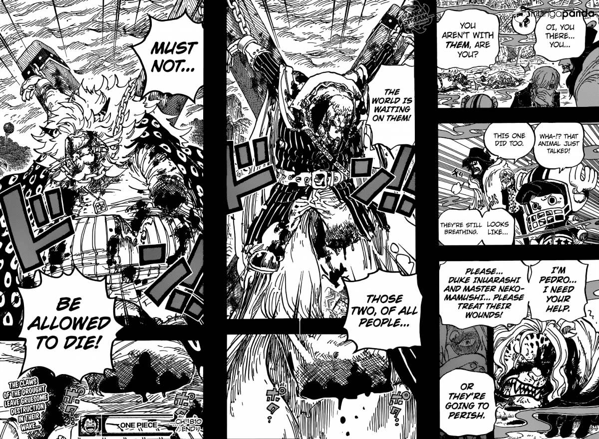 One Piece, chapter 810 image 19