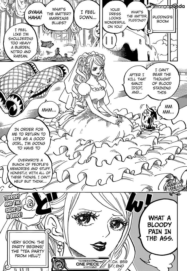 One Piece, chapter 859 image 16