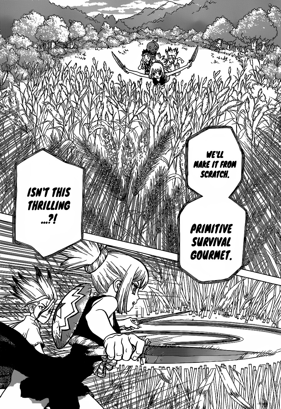 Dr.Stone, Chapter 22  Survival Gourmet image 11