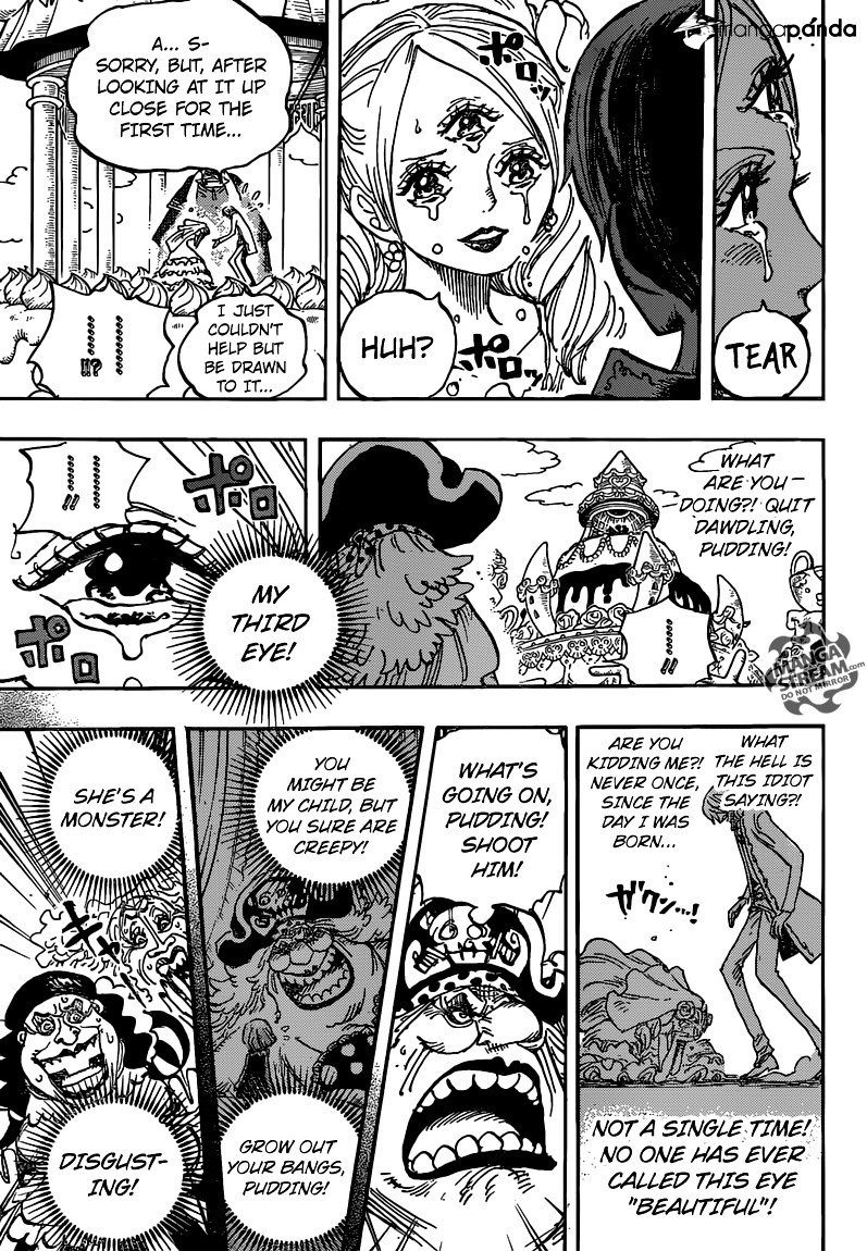 One Piece, chapter 862 image 11