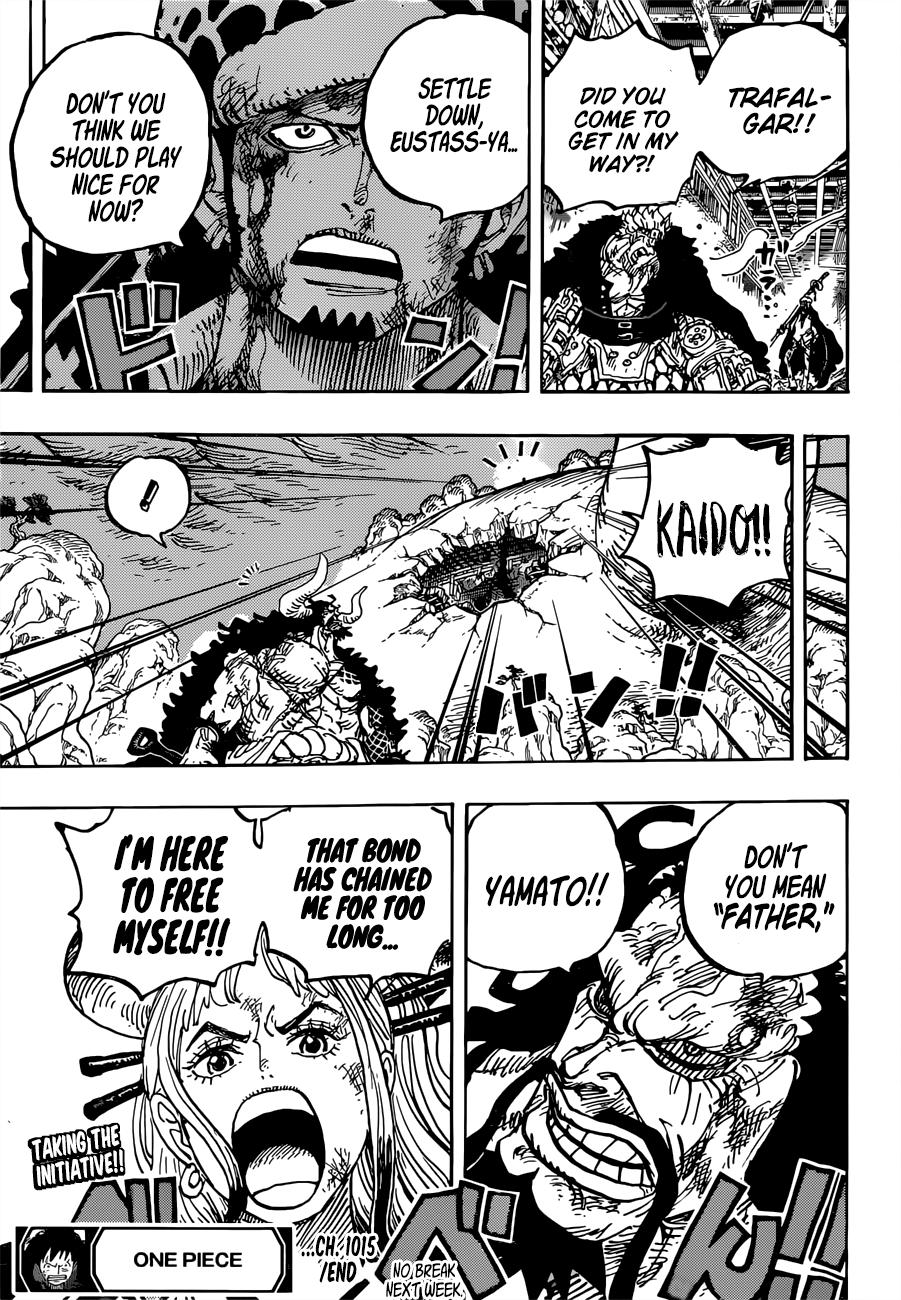 One Piece, chapter 1015 image 16