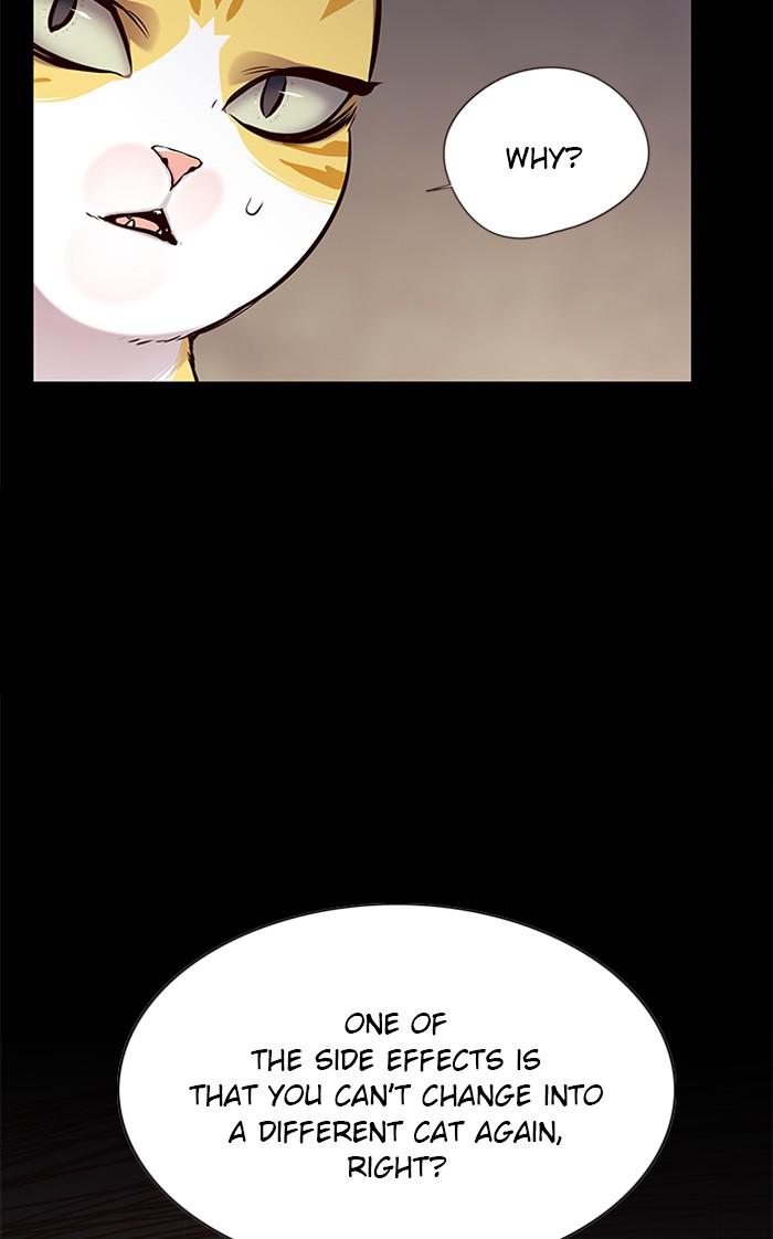 Eleceed, Chapter 142 image 07
