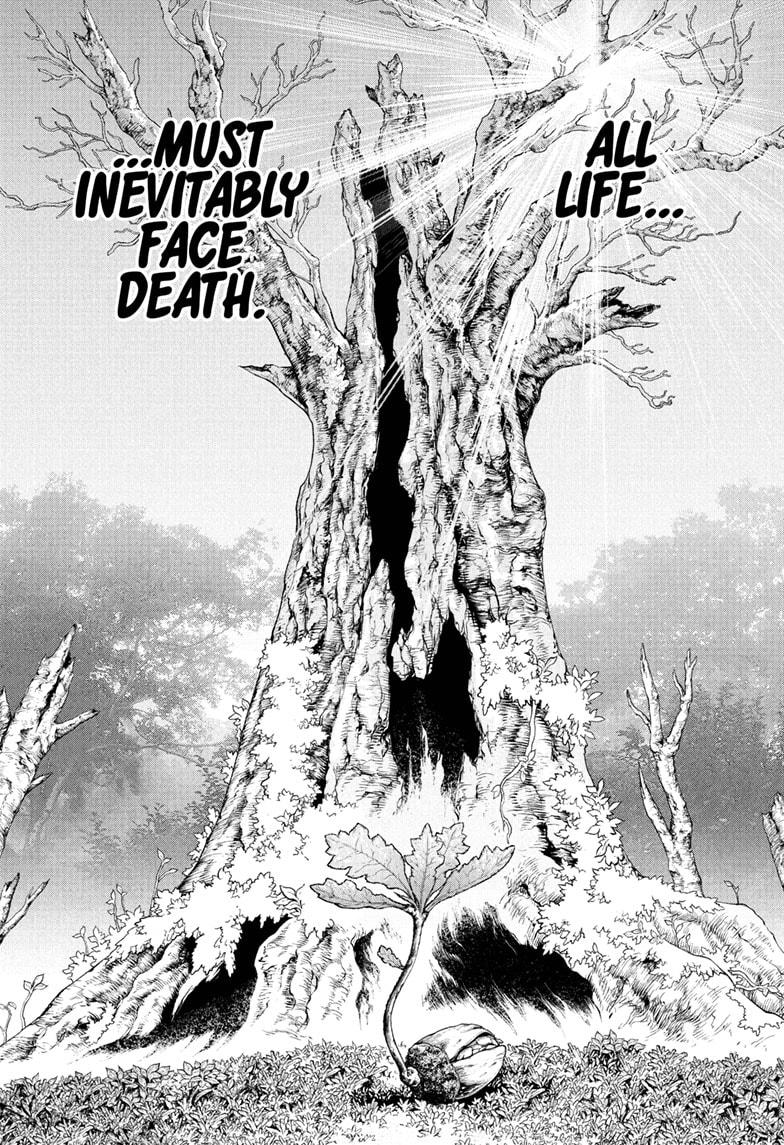 Dr.Stone, Chapter 230 image 01