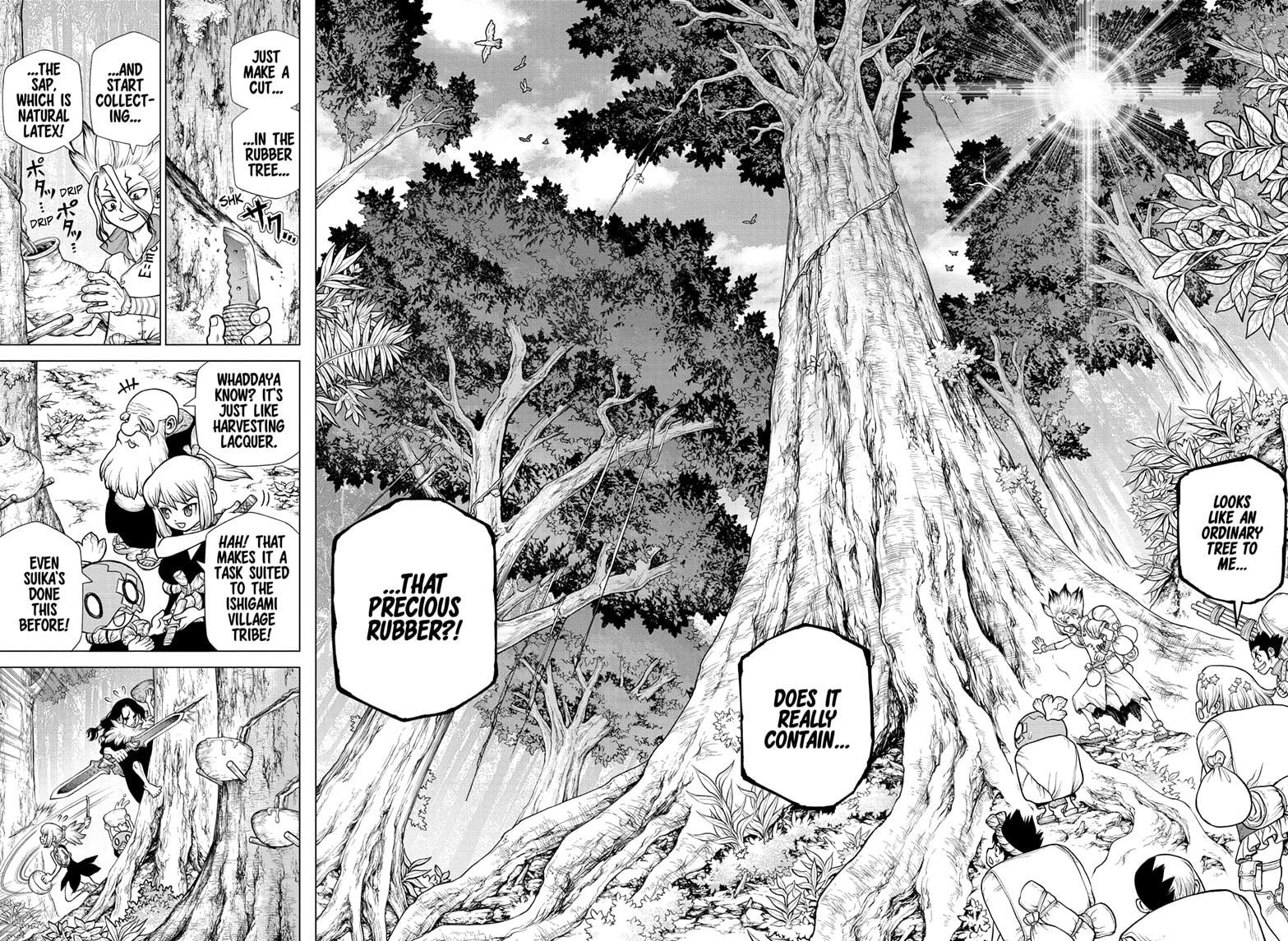 Dr.Stone, Chapter 174 image 11