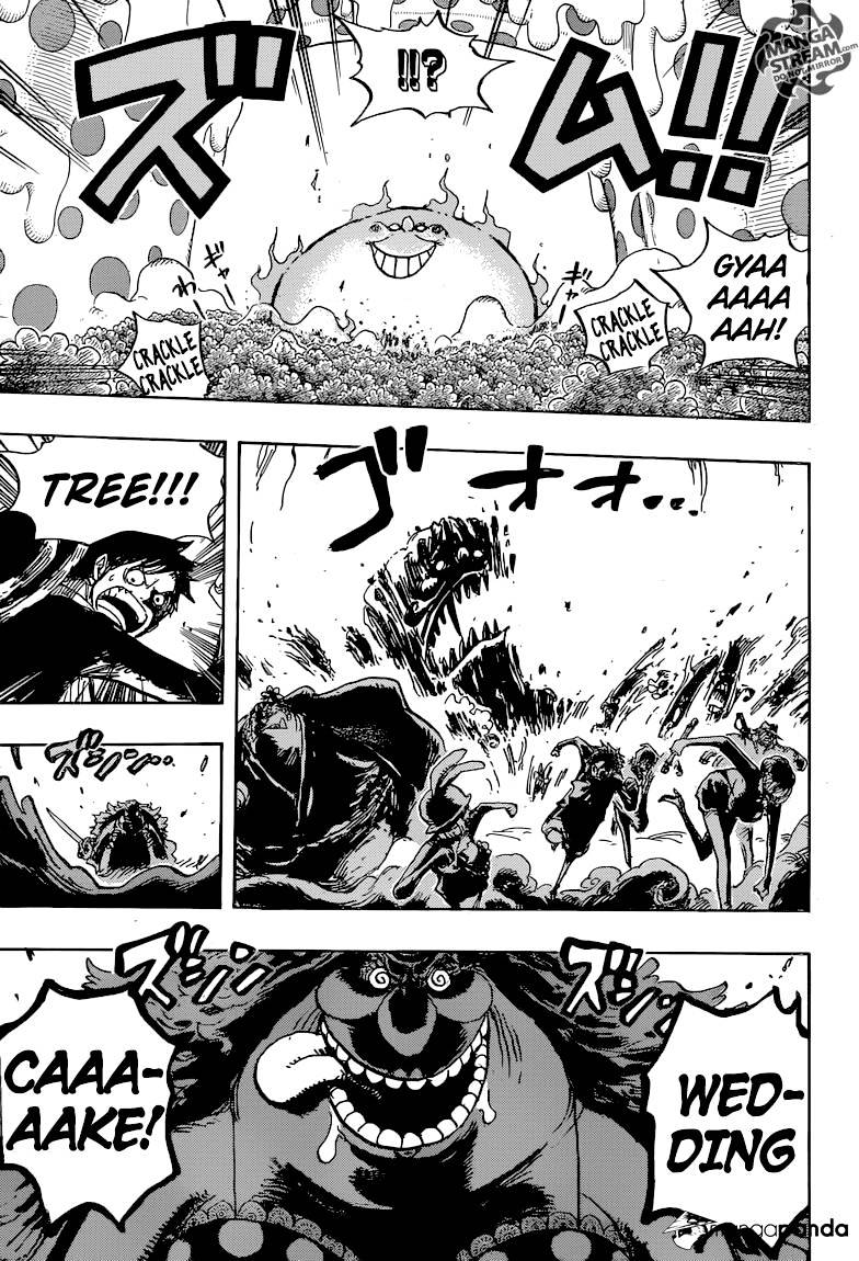One Piece, chapter 874 image 15