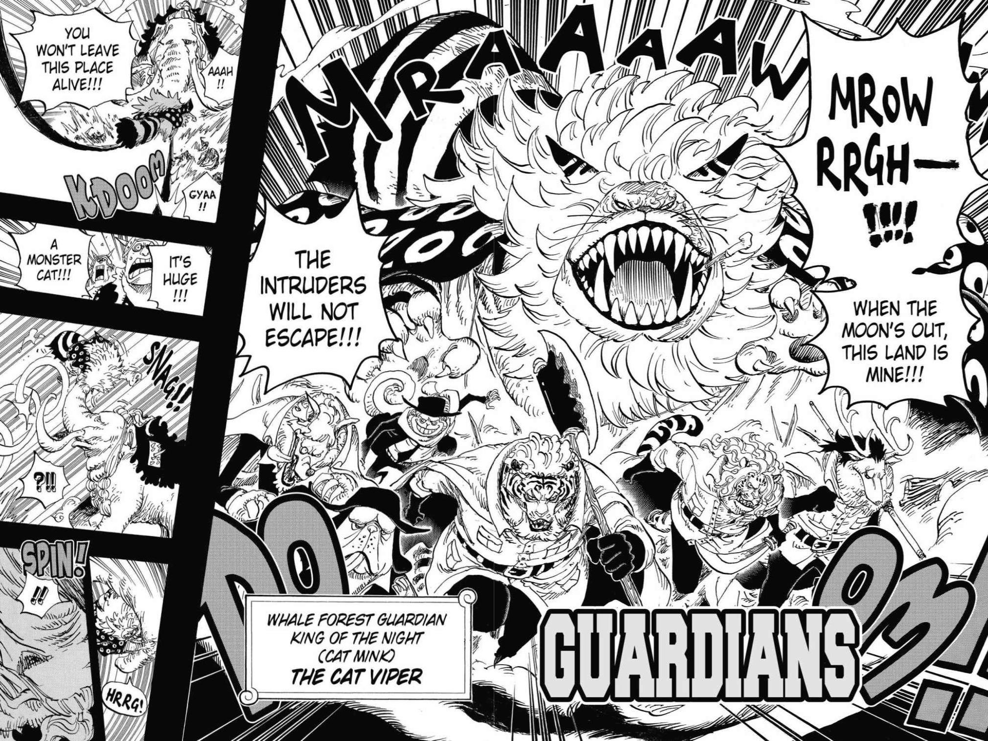 One Piece, Chapter 809 image 15