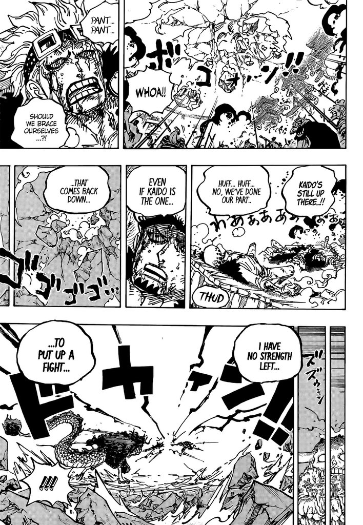 One Piece, chapter 1041 image 14
