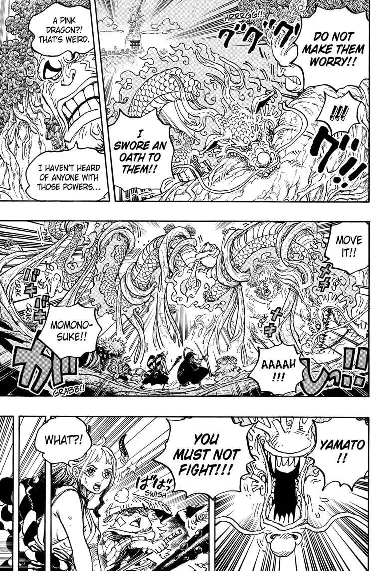 One Piece, Chapter 1054 image 07