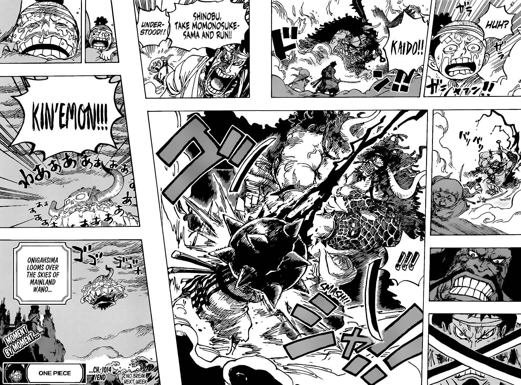 One Piece, chapter 1014 image 15