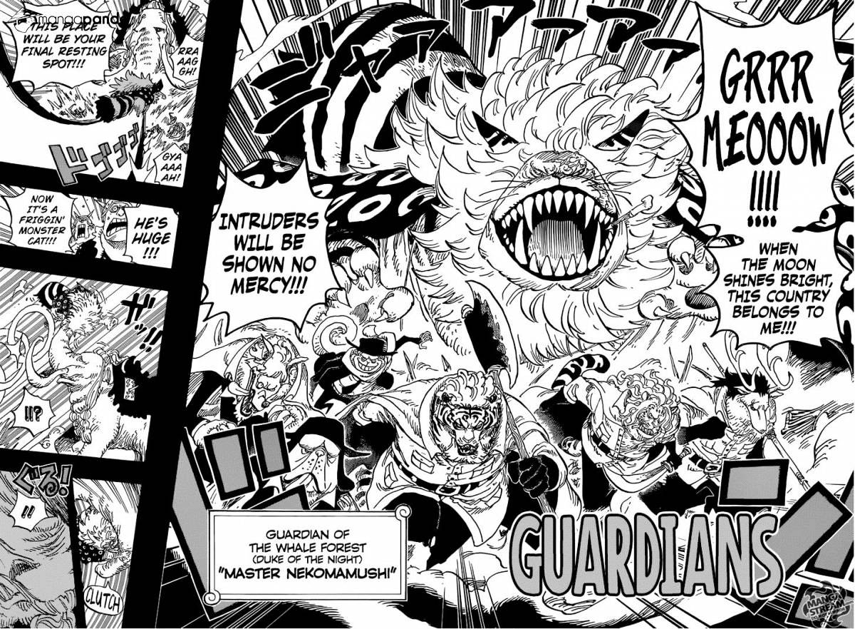 One Piece, chapter 809 image 17