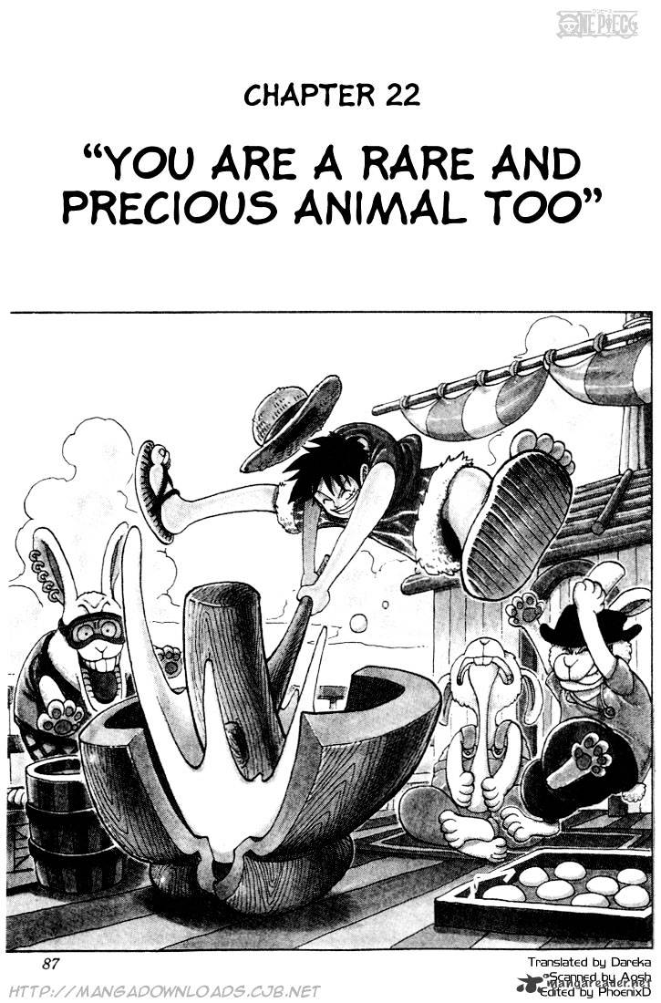 One Piece, chapter 22 image 01