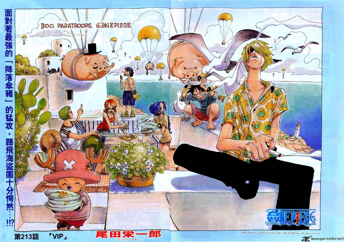 One Piece, chapter 213 image 01