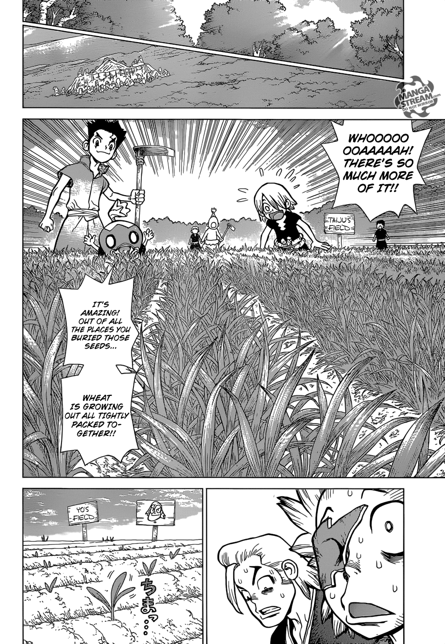 Dr.Stone, Chapter 91 Z=91 If They Have No Bread, Then Let Them Make It From Wheat!! image 12