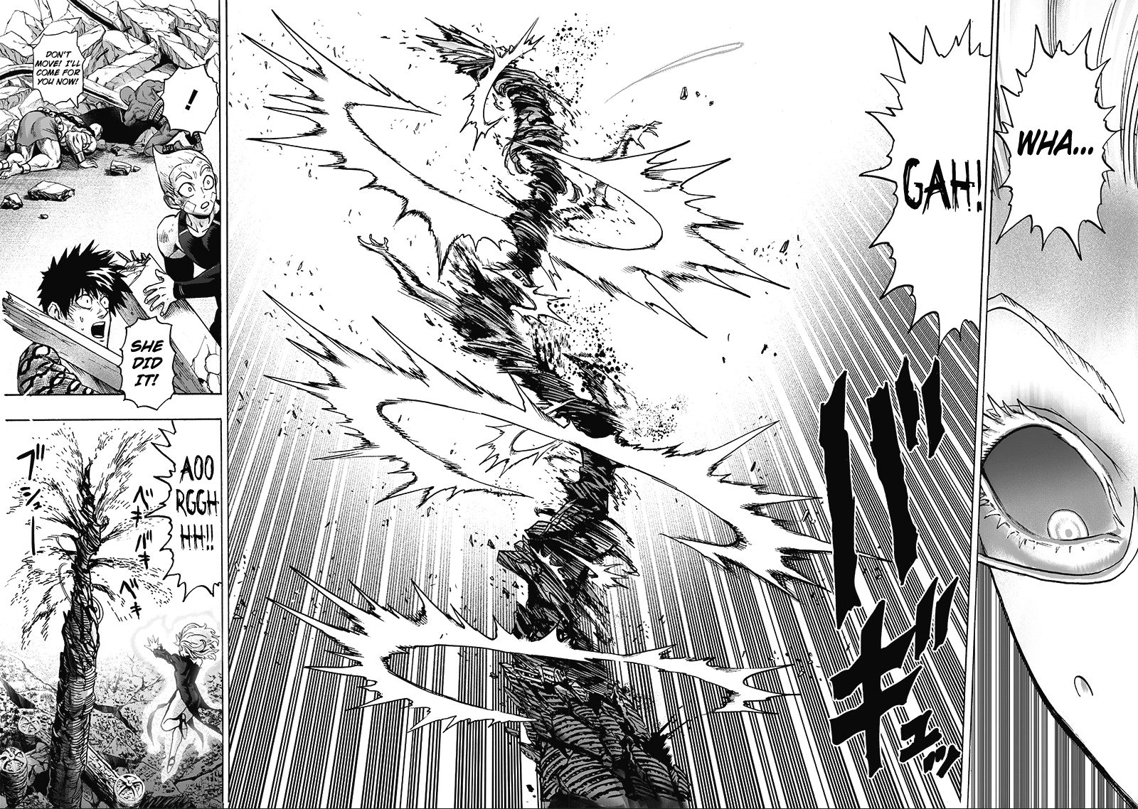 One Punch Man, Chapter 133 Glorious Being image 20