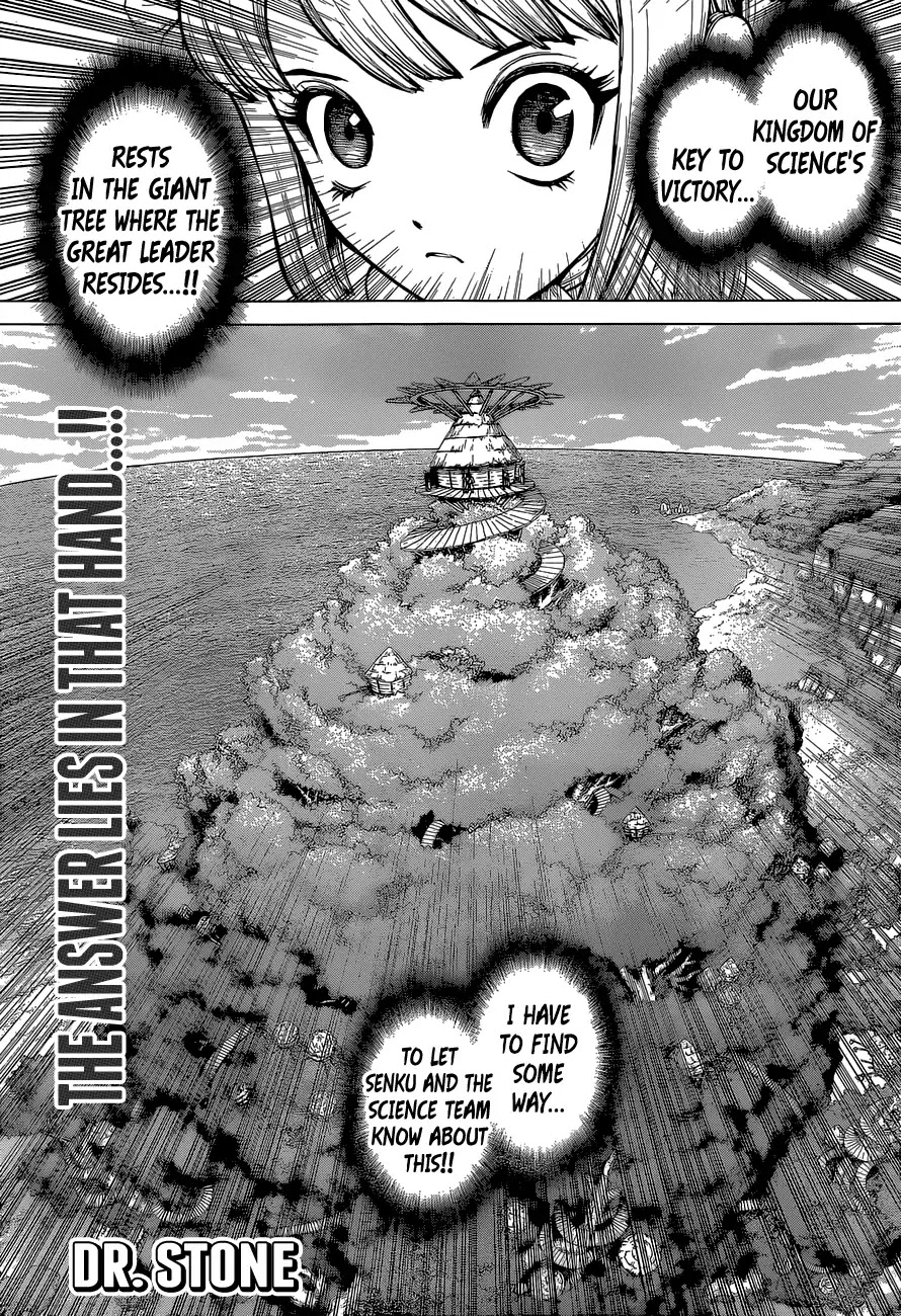 Dr.Stone, Chapter 113 The Science of Encoded Communication image 01