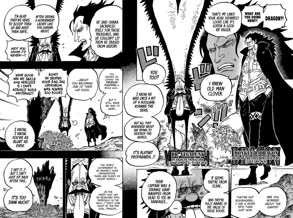 One Piece, chapter 1066 image 11