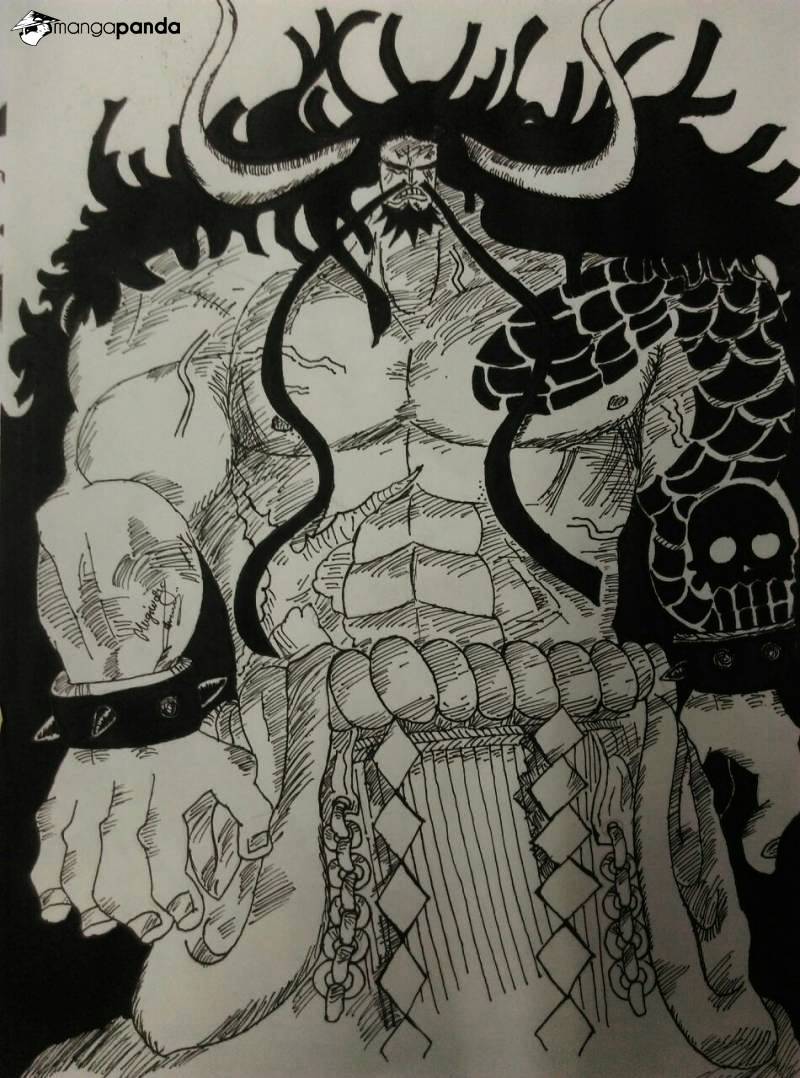 One Piece, chapter 846 image 19