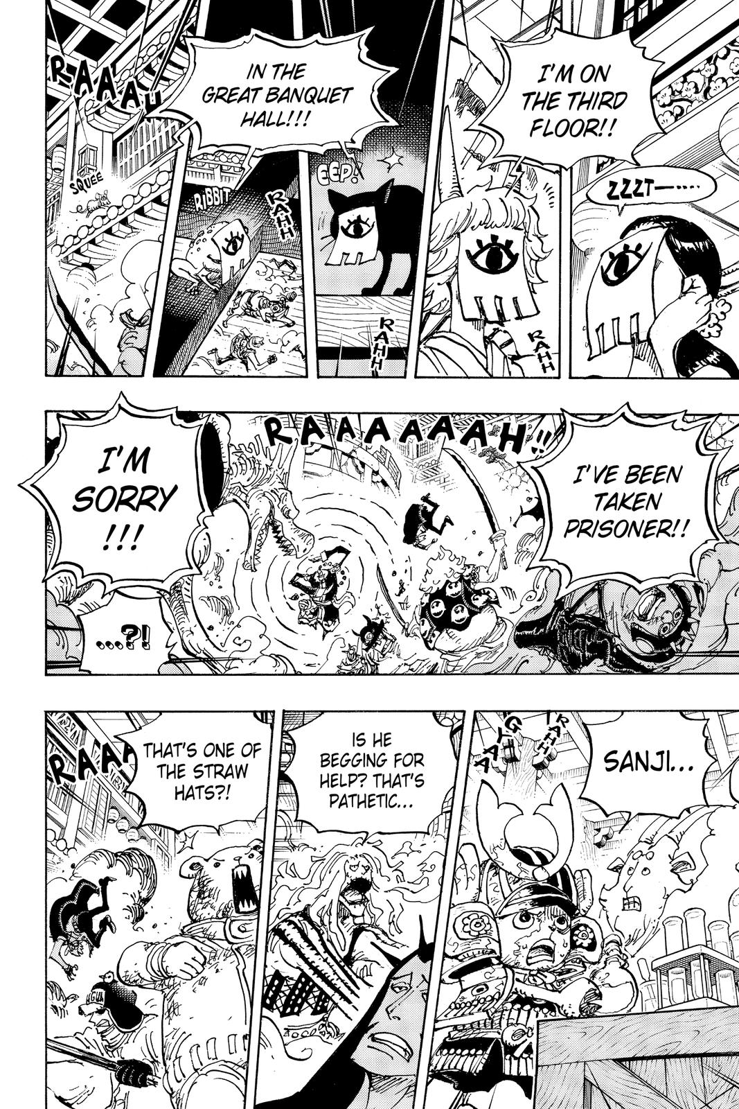 One Piece, Chapter 1005 image 11