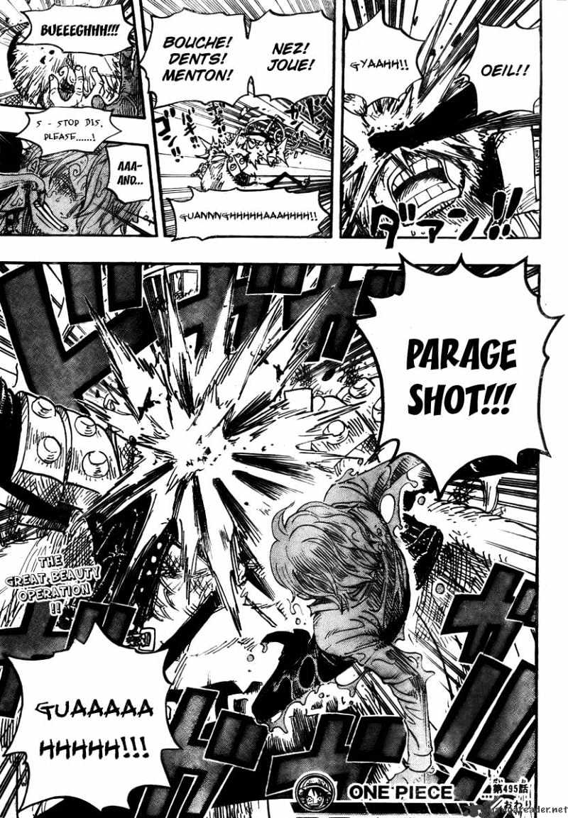 One Piece, chapter 495 image 19