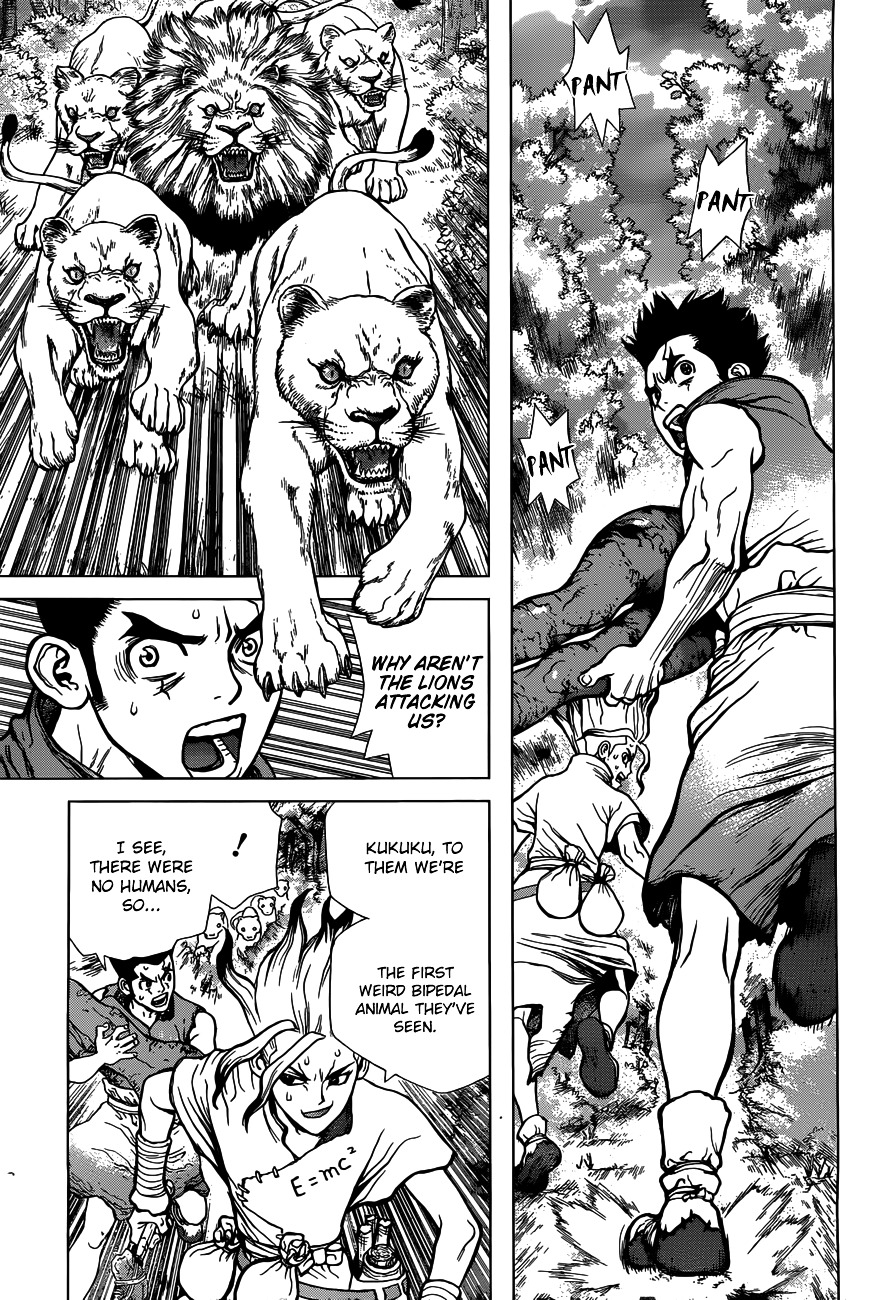 Dr.Stone, Chapter 3  King of the Stone World image 10