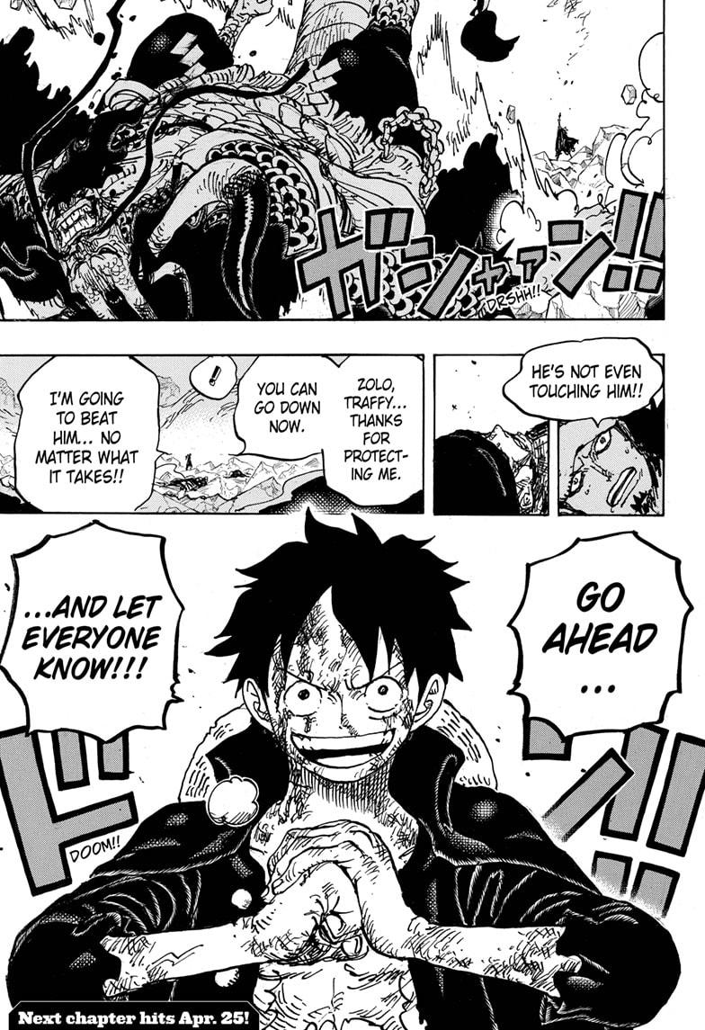 One Piece, chapter 1010 image 16
