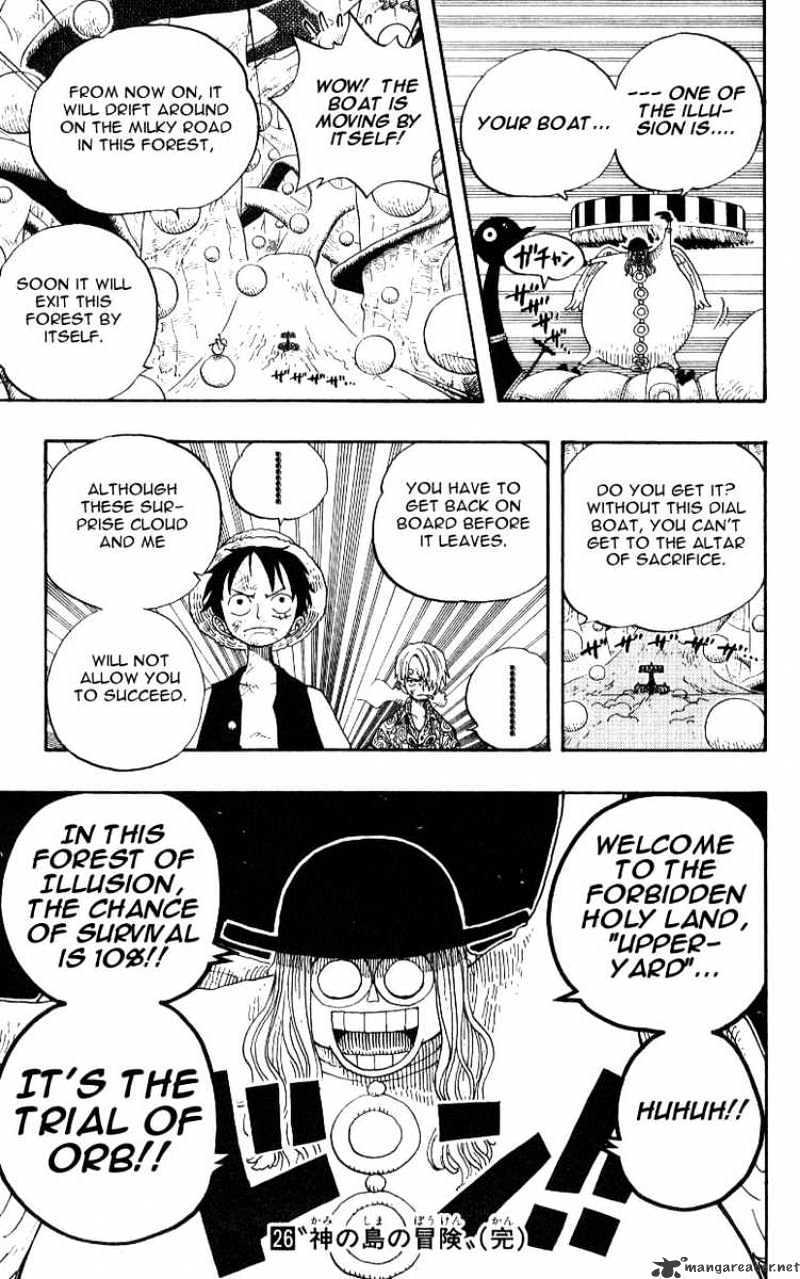 One Piece, chapter 246 image 19