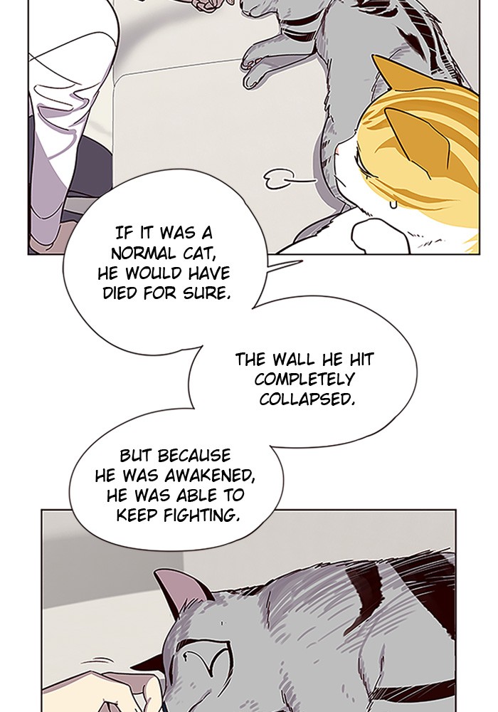 Eleceed, Chapter 6 image 08
