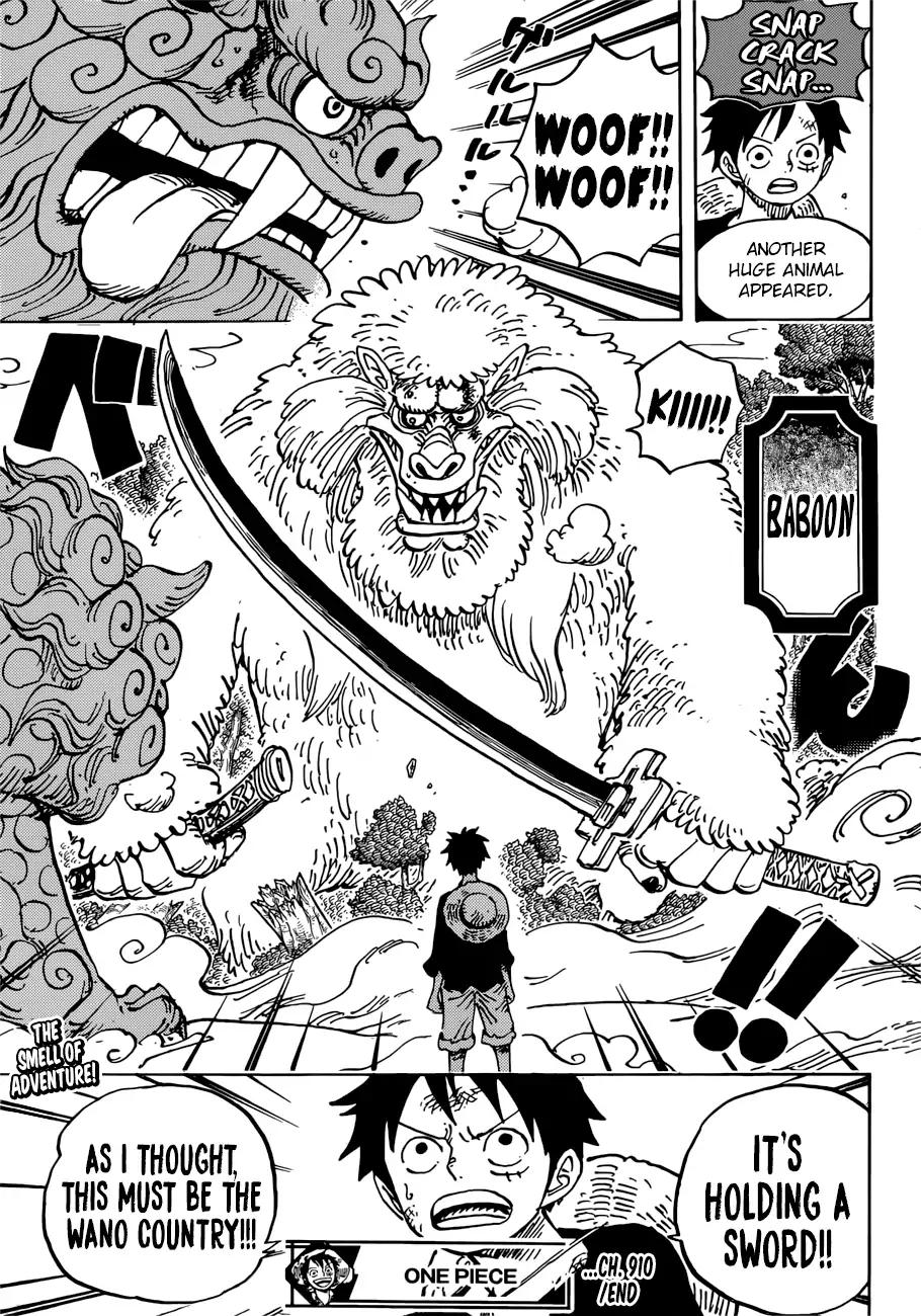 One Piece, chapter 910 image 13