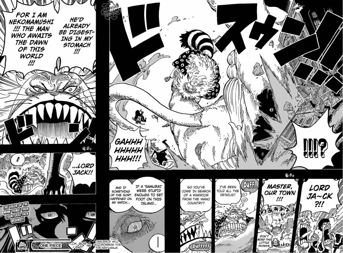 One Piece, chapter 809 image 18