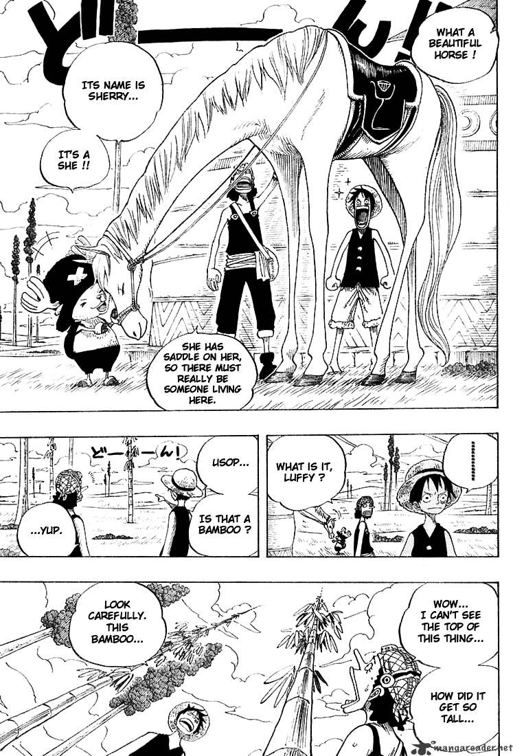 One Piece, chapter 304 image 15