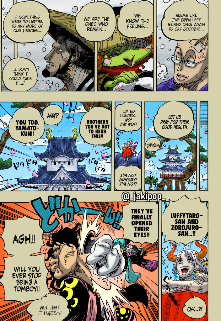 One Piece, chapter 1052 image 18