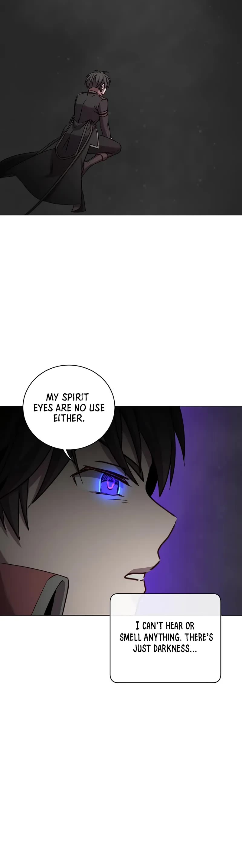 The Max Level Hero Has Returned, Chapter 210 image 10