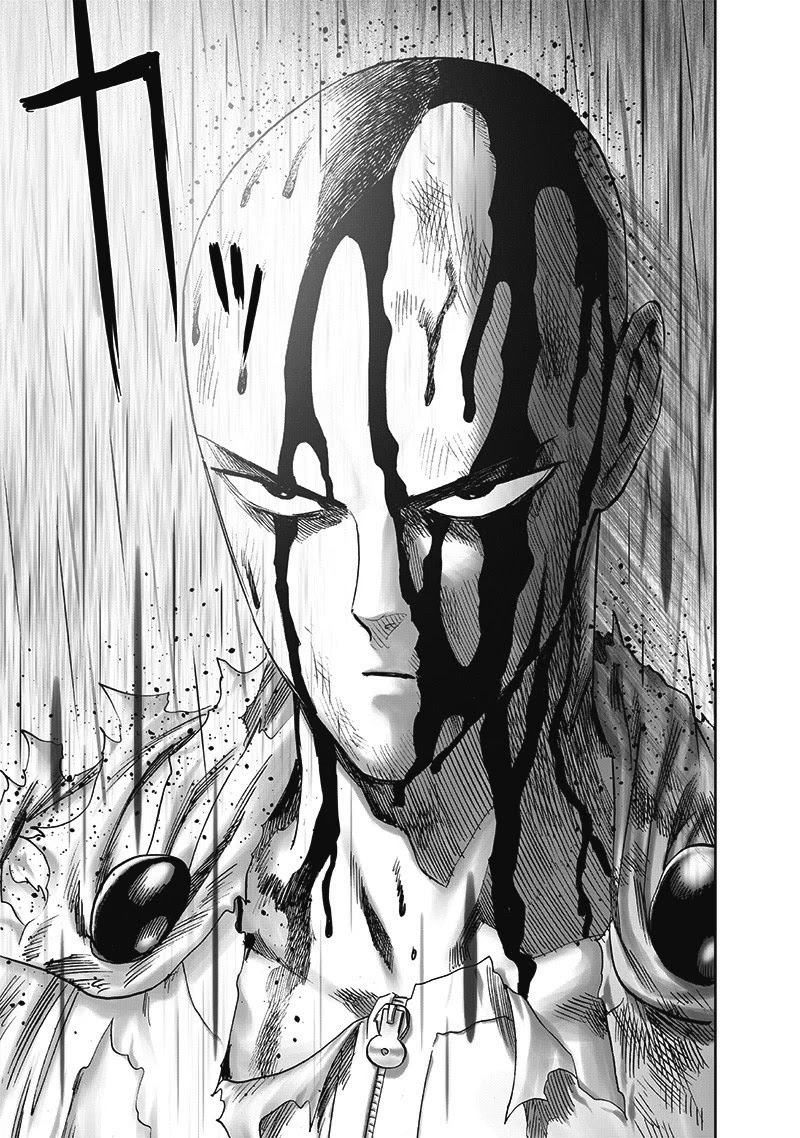 One Punch Man, Chapter 166 image 39