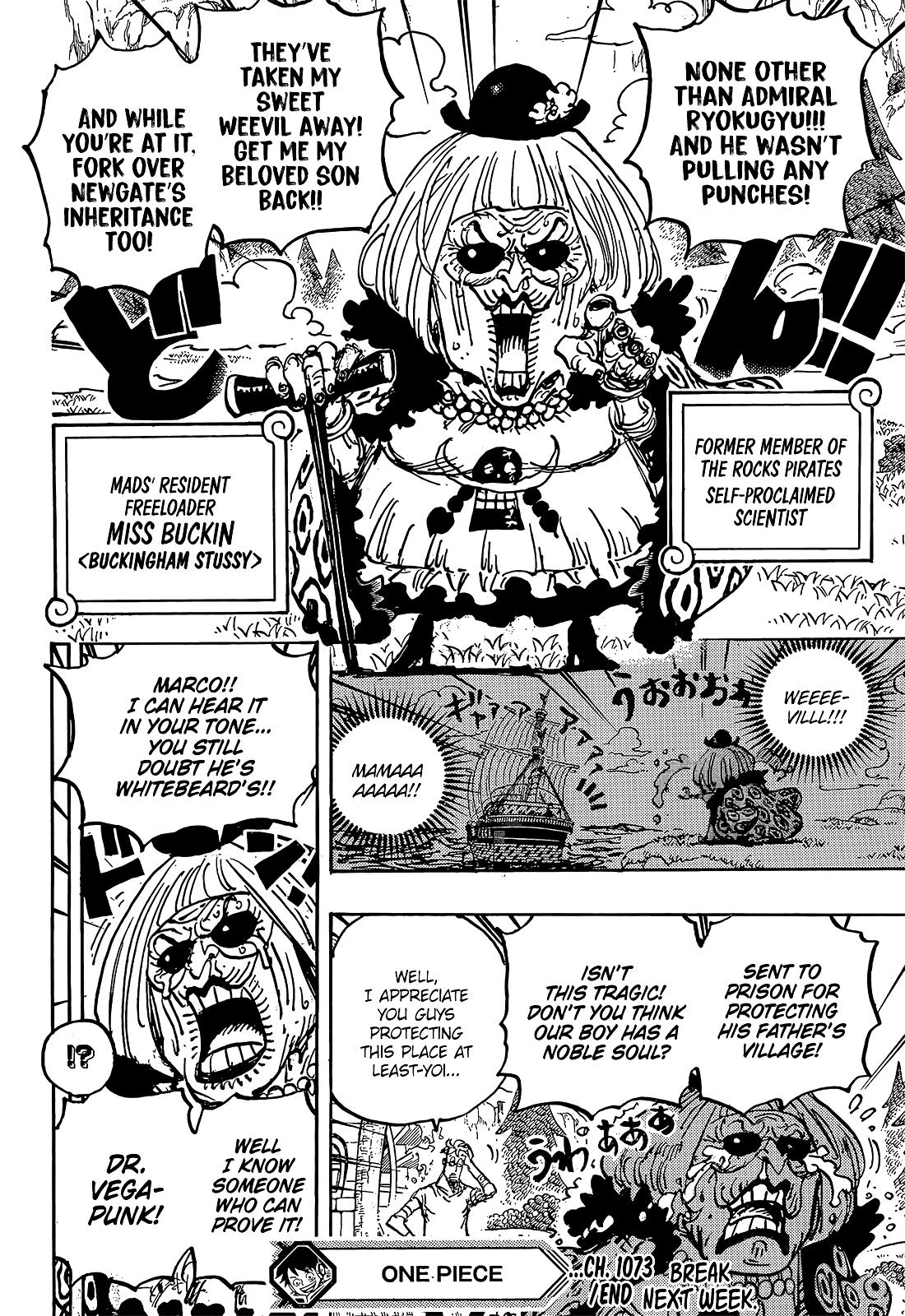 One Piece, Chapter 1073 image 15