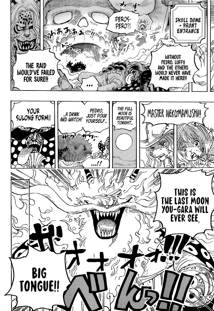One Piece, chapter 1023 image 16