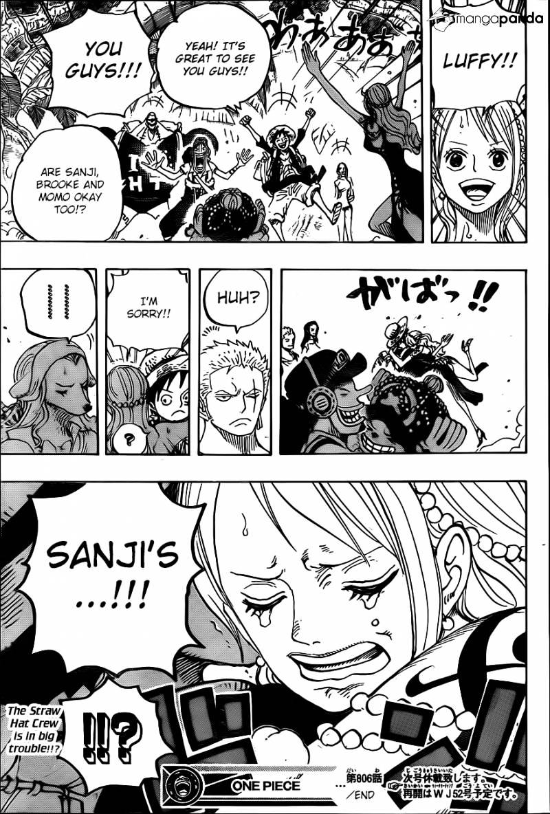 One Piece, chapter 806 image 16