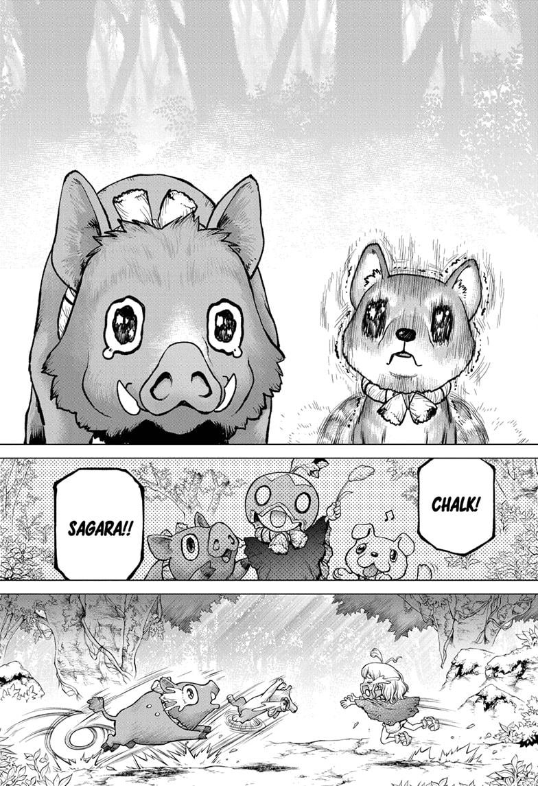 Dr.Stone, Chapter 212 image 11