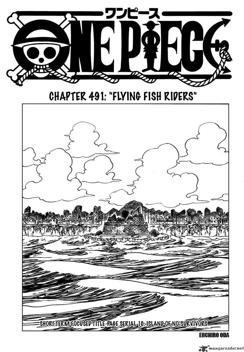 One Piece, chapter 491 image 01