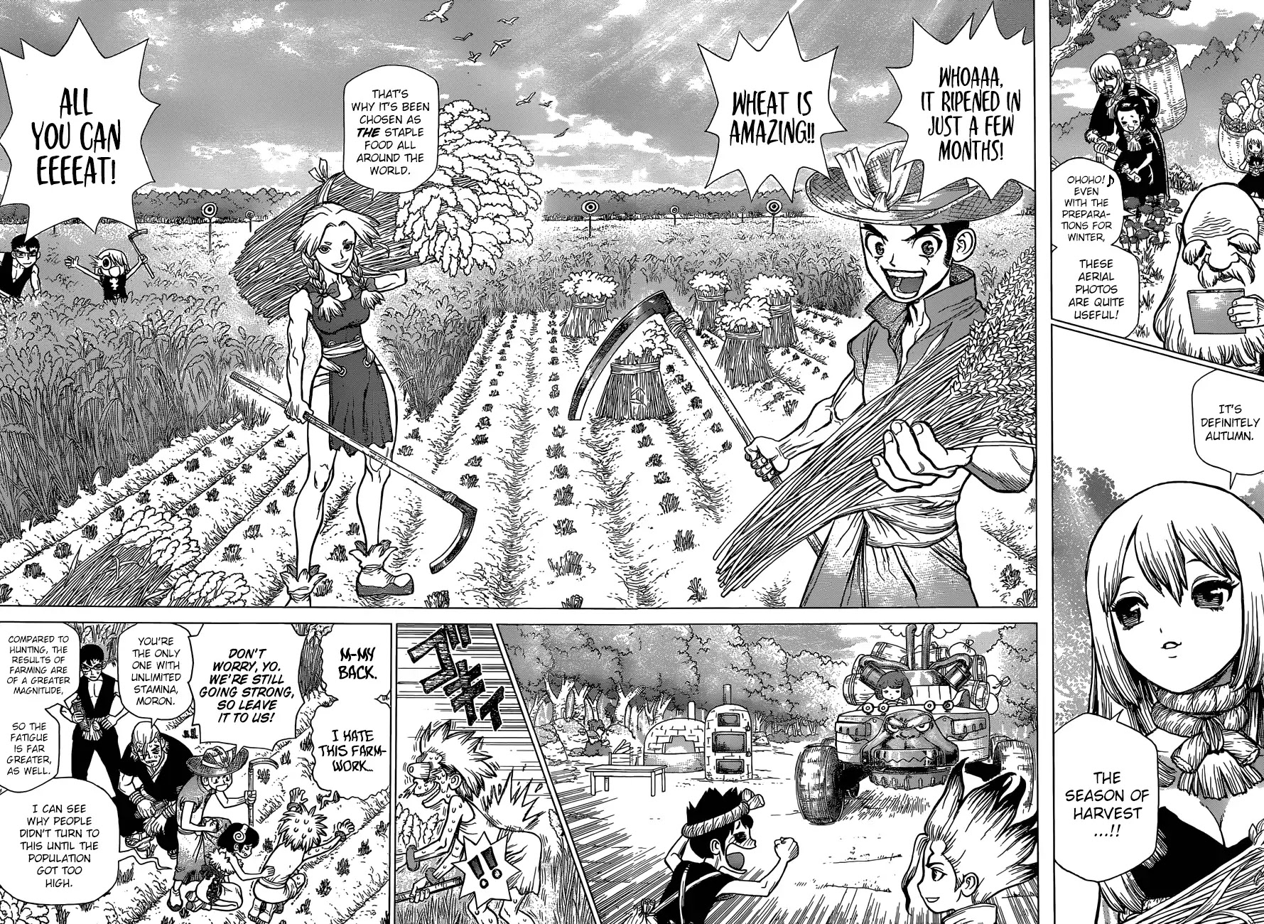 Dr.Stone, Chapter 94 Scent of the Black Jewel image 05