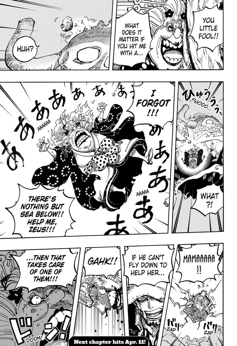 One Piece, chapter 1009 image 17