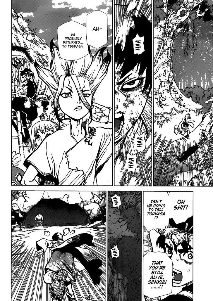 Dr.Stone, Chapter 26  A Shallow Alliance image 15