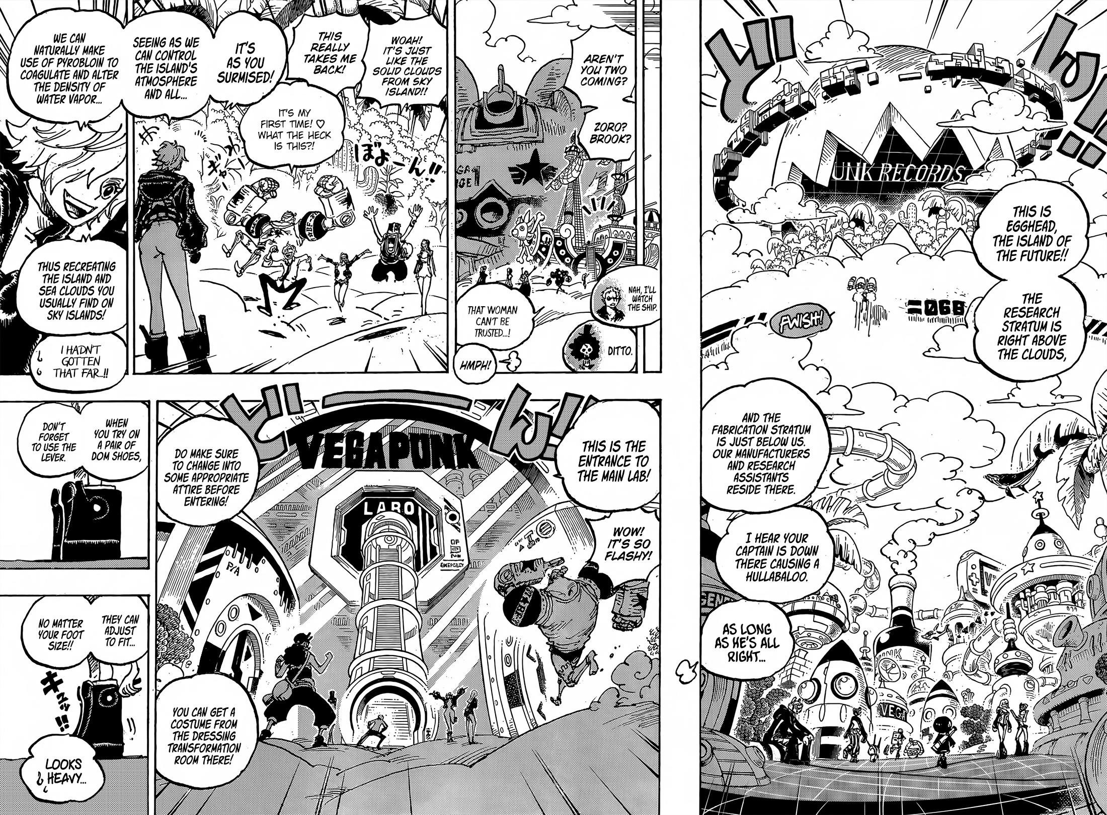 One Piece, chapter 1064 image 13