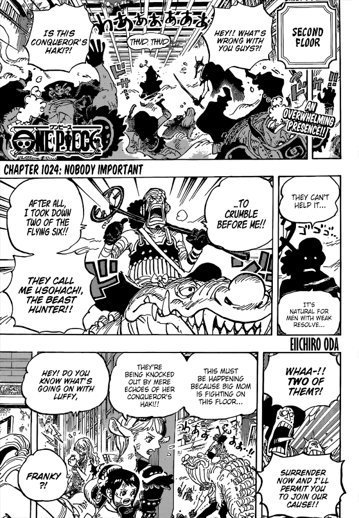 One Piece, chapter 1024 image 04
