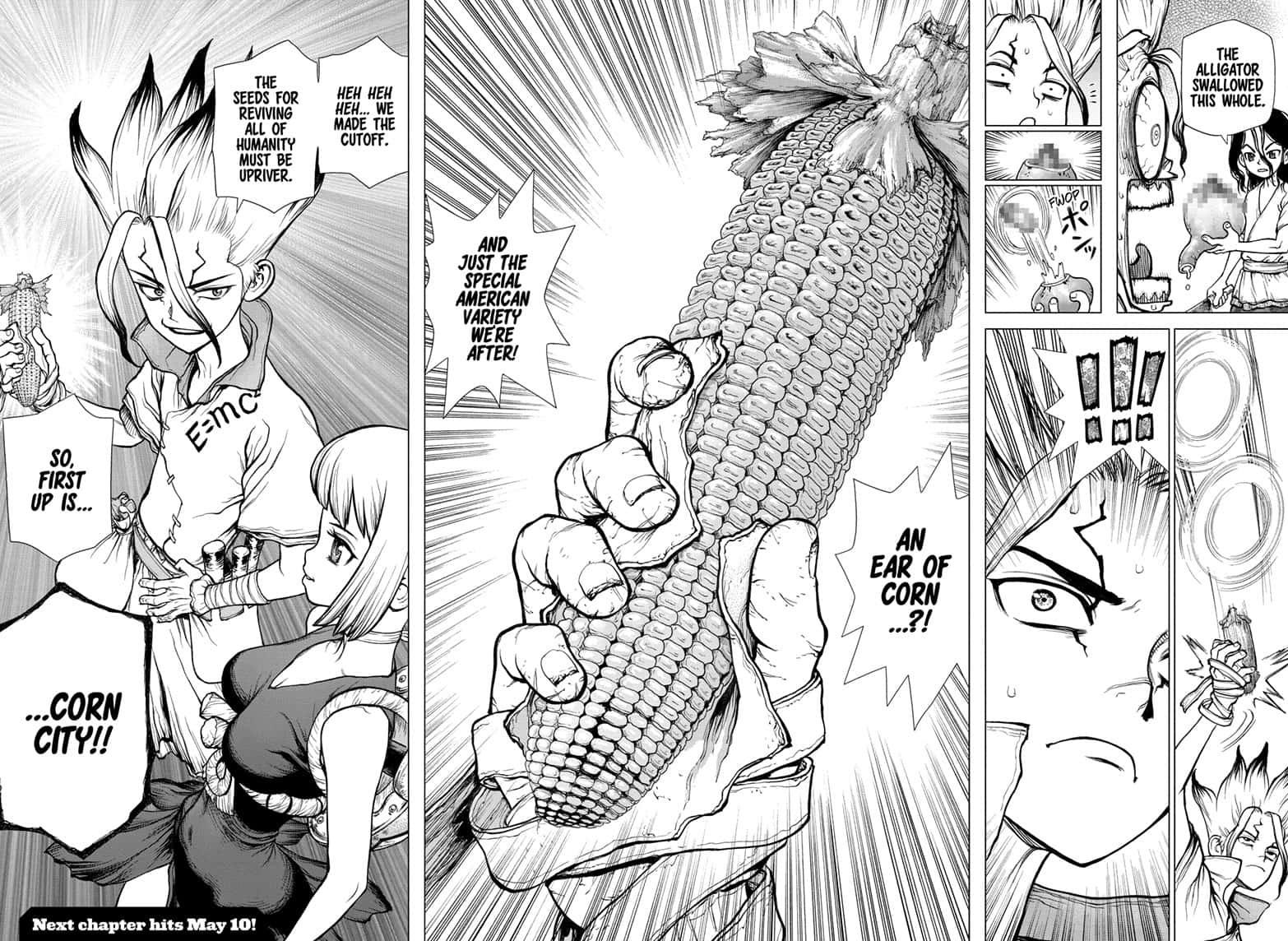 Dr.Stone, Chapter 148 image 15
