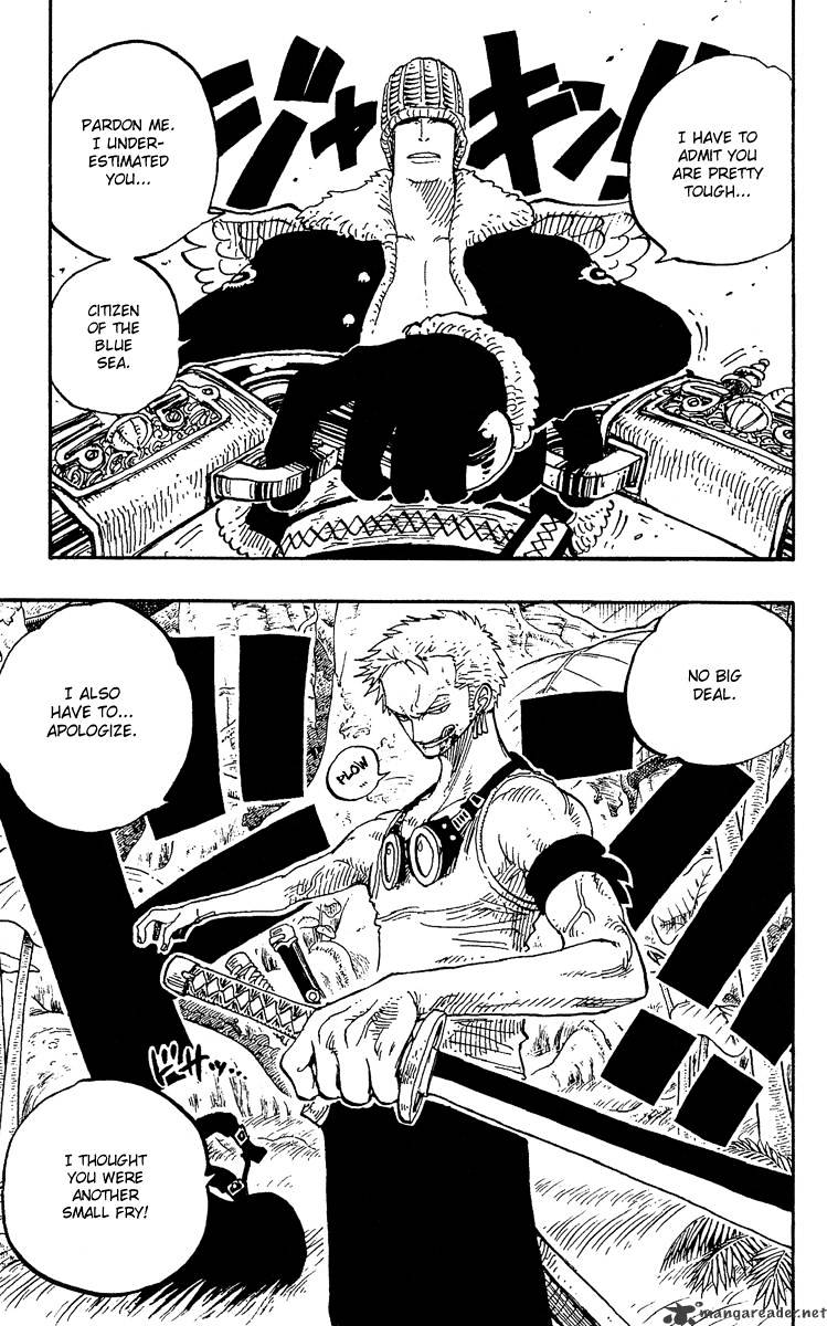 One Piece, chapter 258 image 19