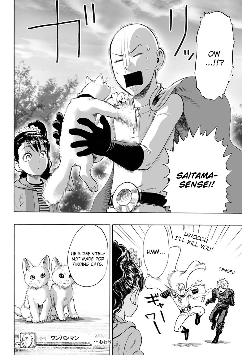 One Punch Man, Chapter 40.1 Lost Cat image 32